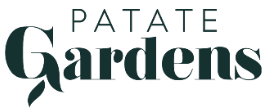 Logo Empresa